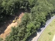 Defrișări masive pe Valea Oltului: 23% din pădure despădurită în 6 zile