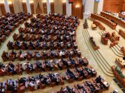 A fost adoptată Legea privind gestionarea populației de urși: câți vor putea fi vânați