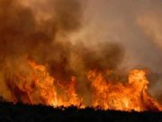 Studiu pe 10 ani: fumul de la incendiile de vegetație crește riscul de demență cu 21%