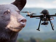 Exemple internaționale: cum ar putea România beneficia de utilizarea dronelor în monitorizarea atacurilor de urși