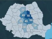 Numărul de urși ce pot fi vânați fără autorizație pe județe. Harghita, în Top la cotele de prevenție