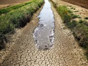 Seceta devastează România: apă distribuită cu restricții în sute de localități. Cele mai afectate regiuni