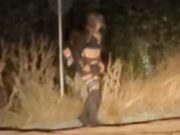 O femeie misterioasă, văzută pe centura din Florești, este de negăsit