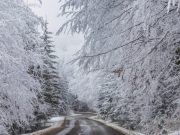 Iarna își face simțită prezența în România: alerta meteo de ninsori și viscol. Zonele vizate și prognoza în detaliu