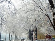 Prognoza meteo pentru prima săptămână din decembrie: Vreme închisă și ninsori în zonele montane