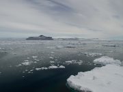 Catastrofa climatică: Oceanul Arctic se apropie de un viitor fără gheață