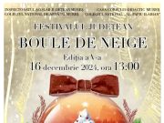 Festivalul Județean „Boule de Neige” – Ediția a V-a