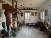 Casa în care Ion Vlasiu și-a creat capodoperele devine muzeu