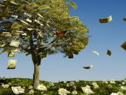 500.000 de lei – bonusul de pensionare de la Romsilva: ce spune instituția despre suma controversată