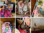 Noi amenzi de 60.000 de lei și controale în centrele din Târgu Mureș, dar când vedem și demiteri?