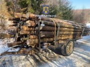 Acțiune silvică în Măgherani: dosar penal și confiscări