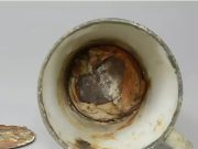 Descoperire uimitoare la Muzeul Auschwitz: obiecte ascunse într-o cană timp de 70 de Ani
