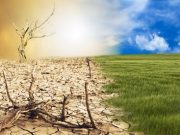 Agricultura României sub presiunea schimbărilor climatice: secetă, pierderi masive și riscuri pe termen lung