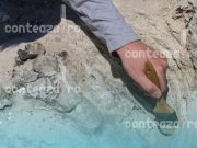 Fosilă de dinozaur descoperită în România, posibil indiciu cheie în lupta împotriva cancerului