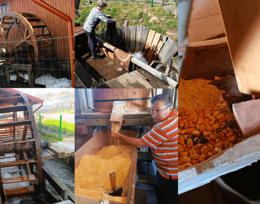 Ibănești: Moara lui Mitică – comoara vie a Văii Gurghiului devine atracție turistică!