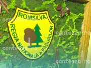 Romsilva, restructurare drastică: 80% dintre directori vor fi concediați. Sute de milioane cheltuite pe prime și bonusuri