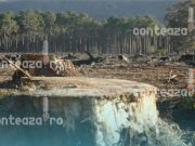 Dispariția care nu lasă urme: România pierde anual milioane de metri cubi de lemn fără nicio justificare