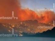 Focuri de vegetație fac ravagii în Grecia: Evia este cea mai nouă insulă afectată, în timp ce incendiile din Creta sunt aproape stinse