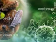 Se întâmplă din nou: o boală misterioasă provoacă panică în spitale