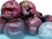 Cum a ajuns ceapa roșie să fie scutul surpriză al celulelor solare