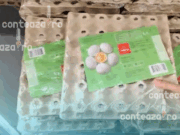 România, patria oului ucrainean: fermierii locali pot să-și ia adio de la coteț