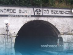 Angajații Salrom dau vina pe castori pentru dezastrul de la Salina Praid și stârnesc indignare în Parlament