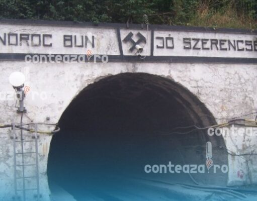 Angajații Salrom dau vina pe castori pentru dezastrul de la Salina Praid și stârnesc indignare în Parlament