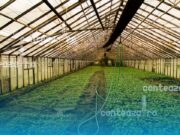 Bolojan pune presiune pe micii fermieri: noul Cod Fiscal introduce taxe pentru solarii, sere și depozite agricole