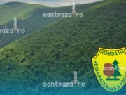 Câștiguri neașteptate pentru Romsilva. De unde vin milioanele obținute în 2025
