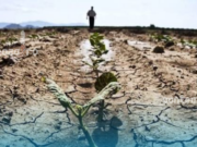 Avertisment ONU despre criza apei: omenirea a intrat în era falimentului hidric global