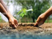 De Ziua Sădirii Arborelui – 14 martie, Călin Georgescu cheamă românii să planteze pentru țară și credință