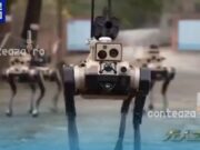 China testează câini-roboți autonomi care acționează în haită și colaborează cu dronele
