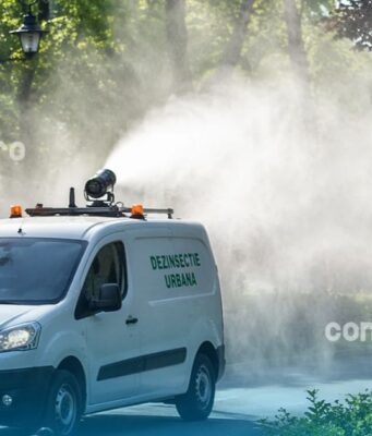 Primăria Târgu Mureș începe dezinsecția în acest weekend