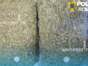 Peste 13 kilograme de canabis, interceptate la Târgu Mureș