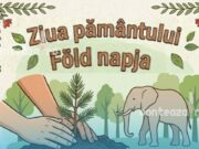 Ziua Pământului la Zoo Târgu Mureș: Plantezi un copac și hrănești elefanți! Eveniment GRATUIT și SUPER distractiv pentru toată familia!