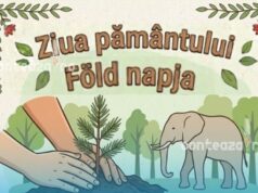 Ziua Pământului la Zoo Târgu Mureș: Plantezi un copac și hrănești elefanți! Eveniment GRATUIT și SUPER distractiv pentru toată familia!