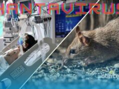 Organizația Mondială a Sănătății răspunde clar: Hantavirusul NU este un nou COVID, dar…