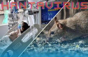 Organizația Mondială a Sănătății răspunde clar: Hantavirusul NU este un nou COVID, dar…