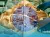 Primul dezastru al acordului UE-Mercosur! 80% din lotul de pui brazilian, plin de bacterii toxice – Grecia l-a trimis înapoi imediat