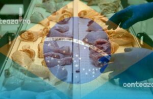 Primul dezastru al acordului UE-Mercosur! 80% din lotul de pui brazilian, plin de bacterii toxice – Grecia l-a trimis înapoi imediat
